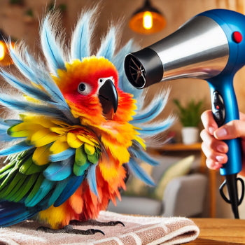 Je papegaai onder de douche?